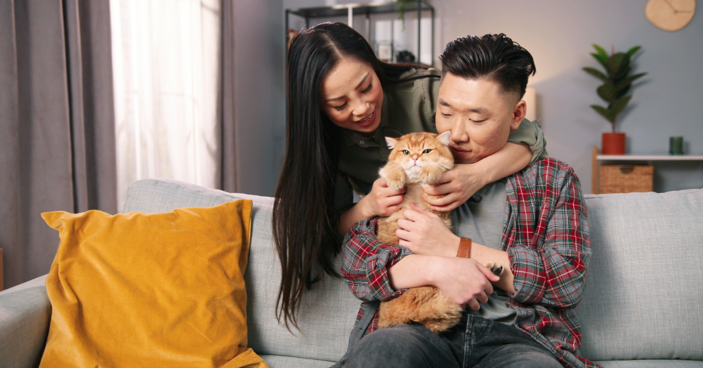 Pets Best