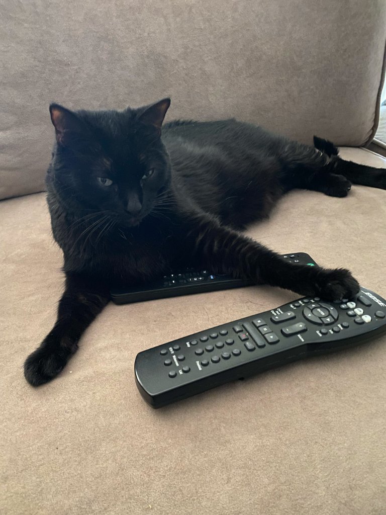 Guarding the remotes
