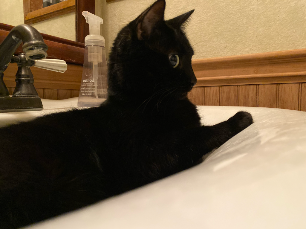 Sita in the sink