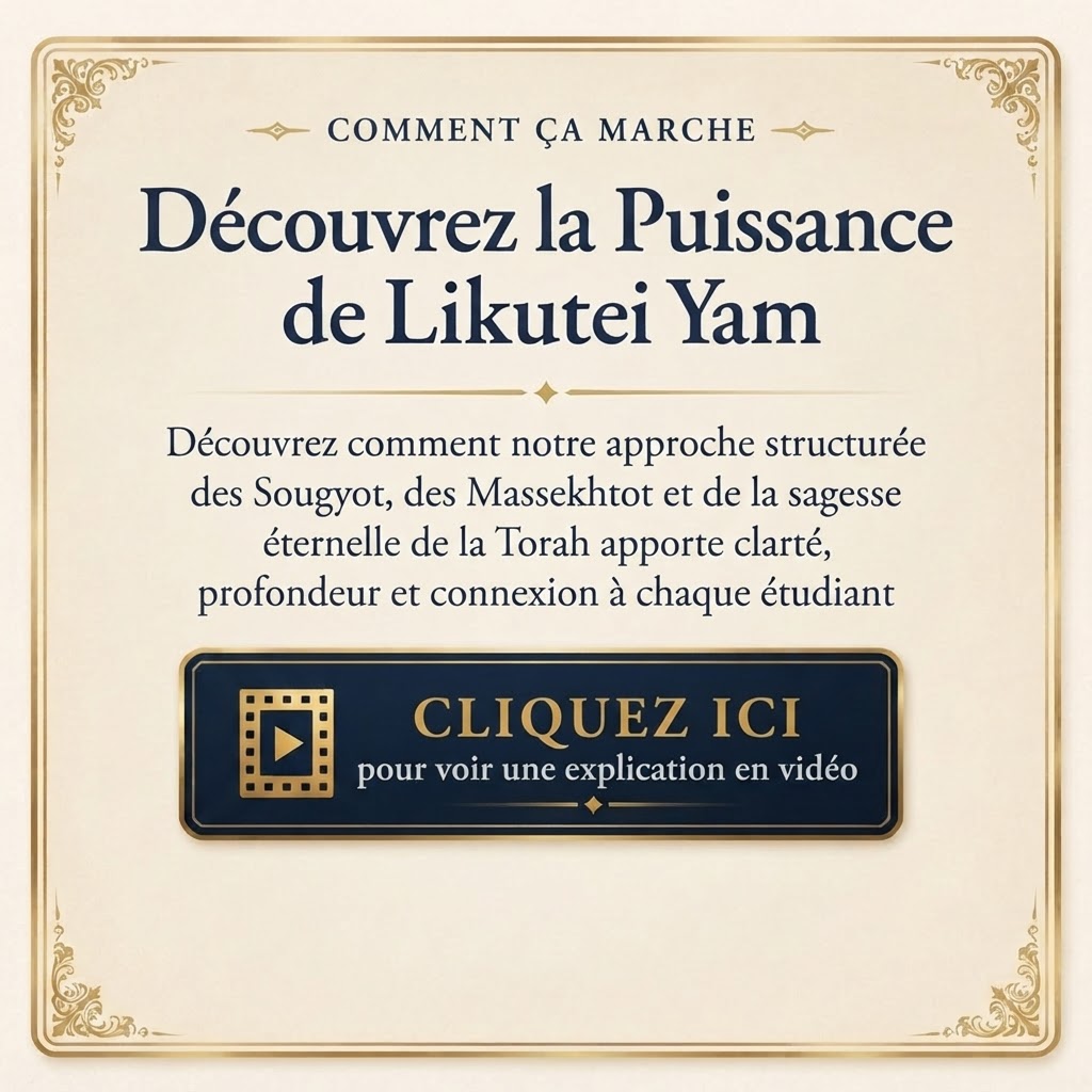 Comment ça marche — video explanation