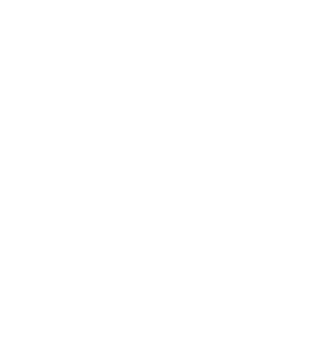 Nexaforge Icon