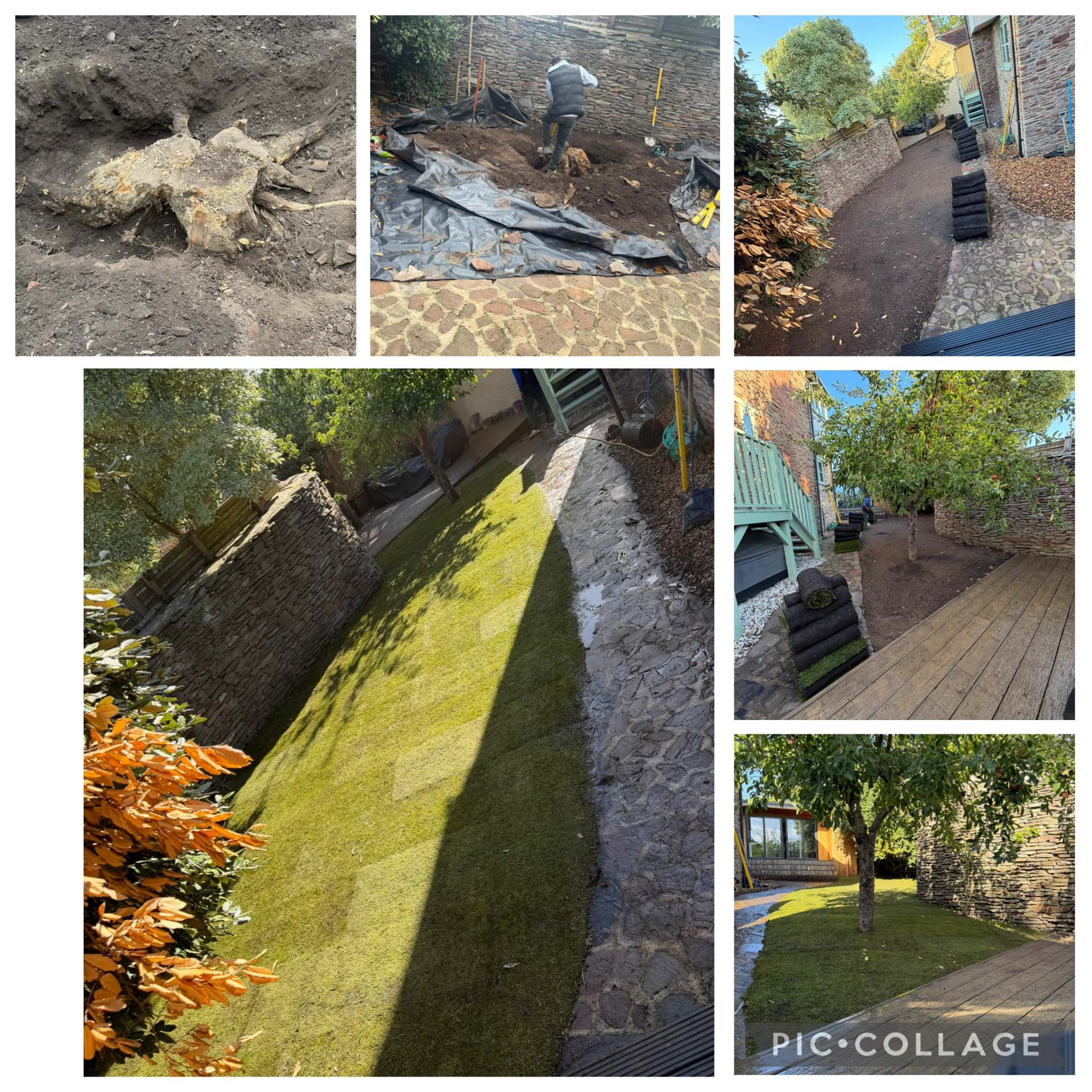 Stump Dig-Out & Natural Turf Transformation