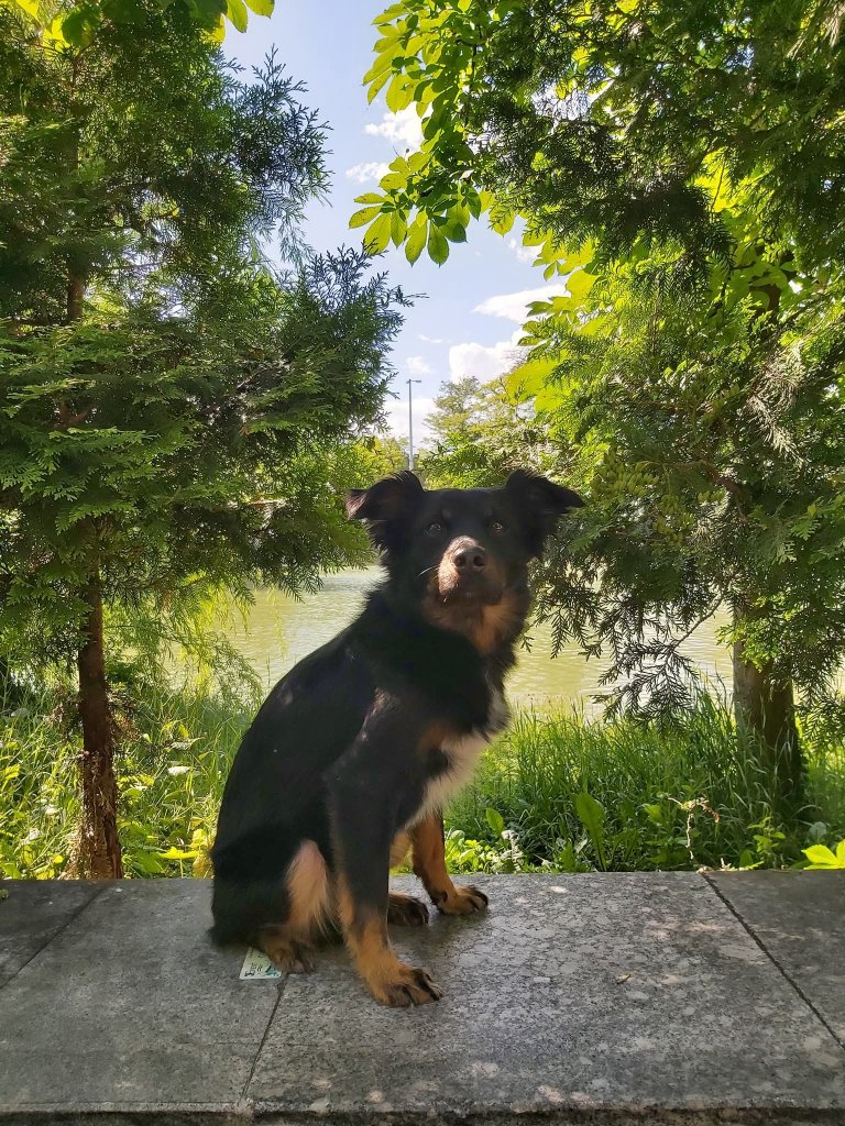 Sammy