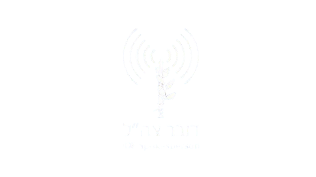 דובר צה"ל