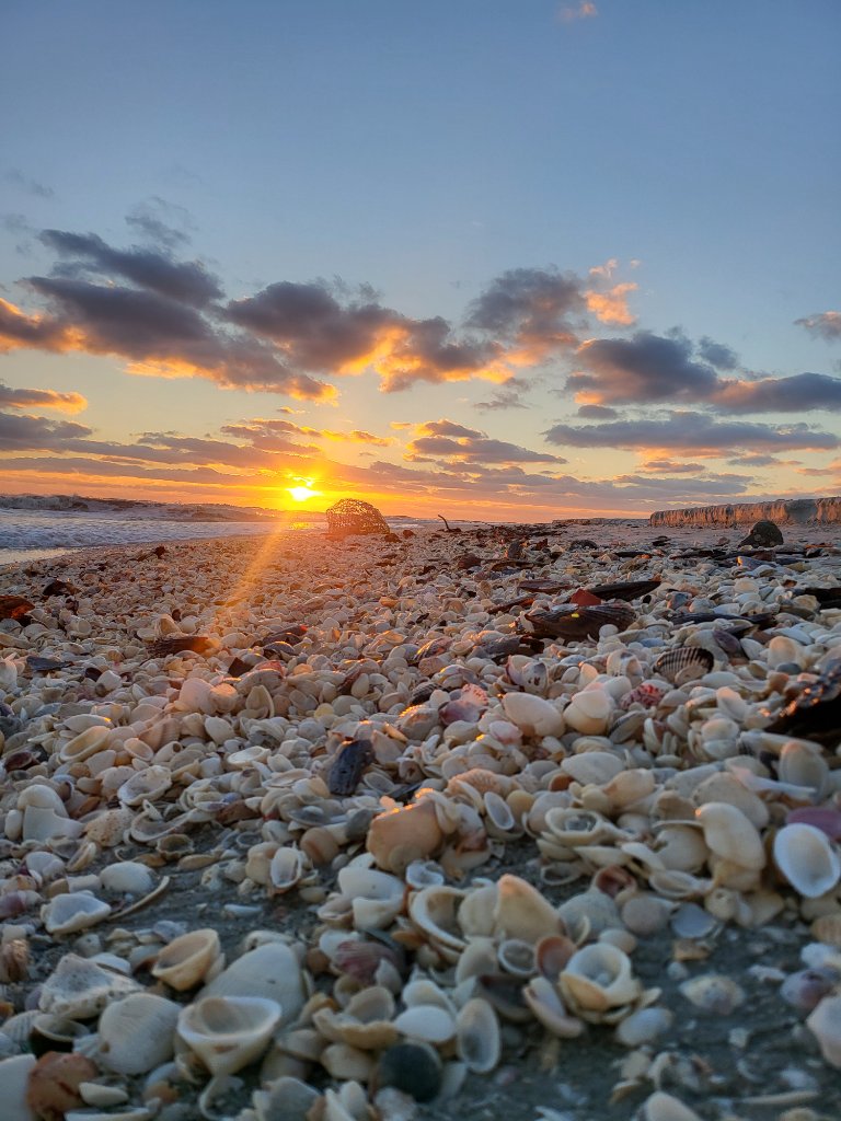 Sunset over a Sanibel Island beach covered in shells
