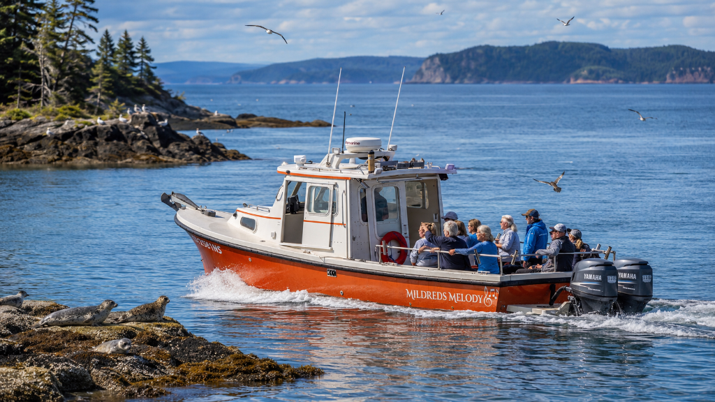 Scenic Bay Tours