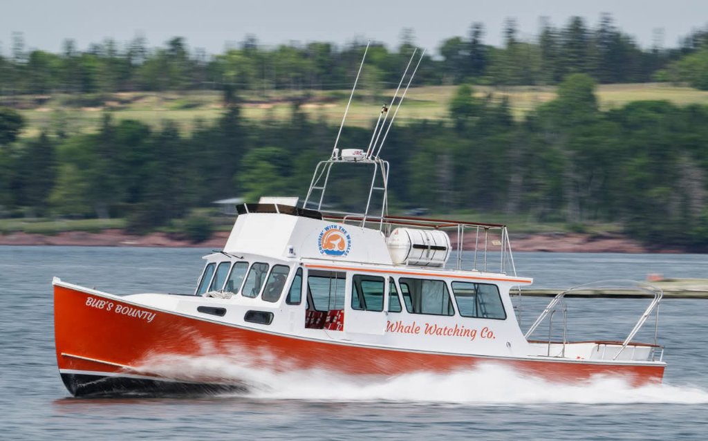 Bub's Bounty racing across the water