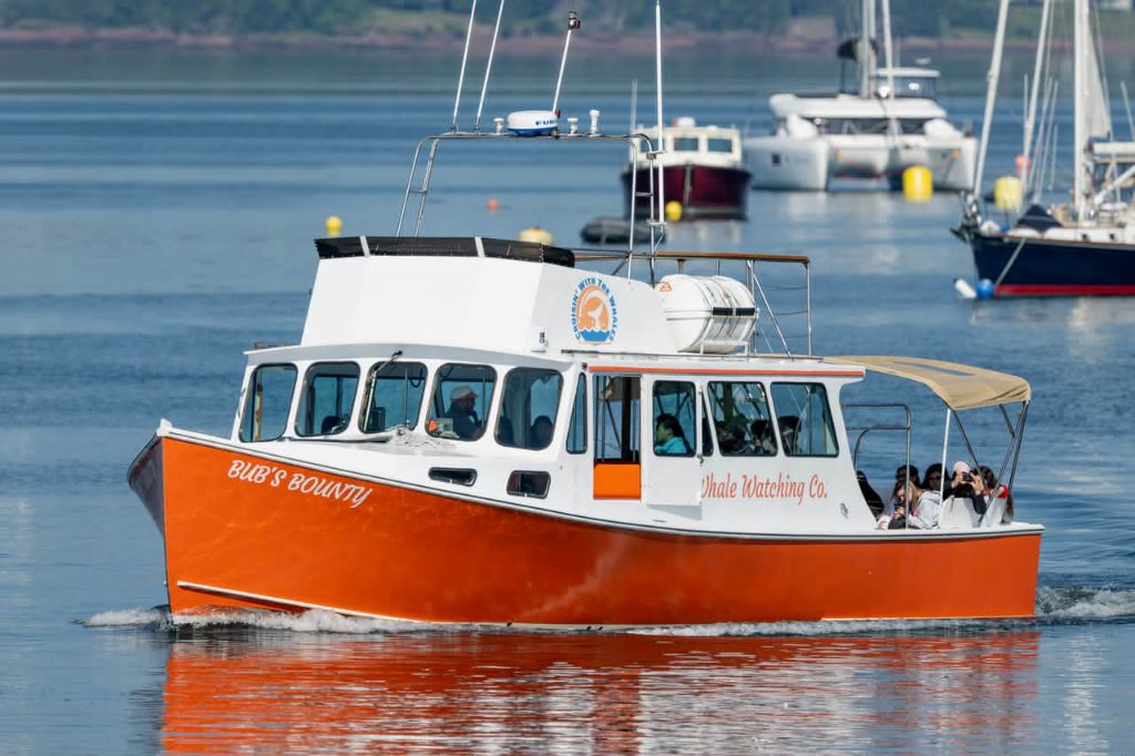 Bub's Bounty side view on the bay