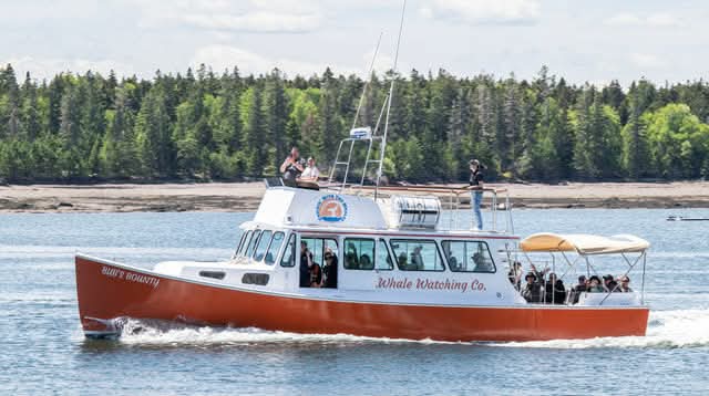 Mildred's Melody with family aboard
