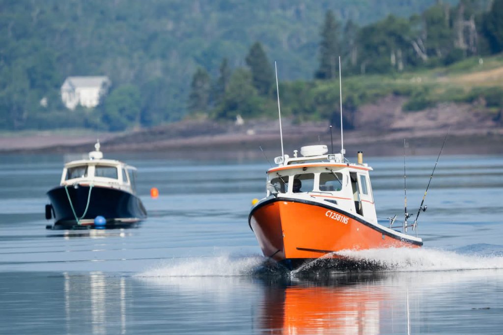 Whale surfacing next to Bub's Bounty