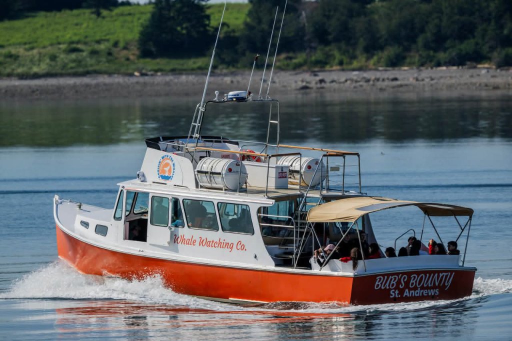 Bub's Bounty full speed on the bay