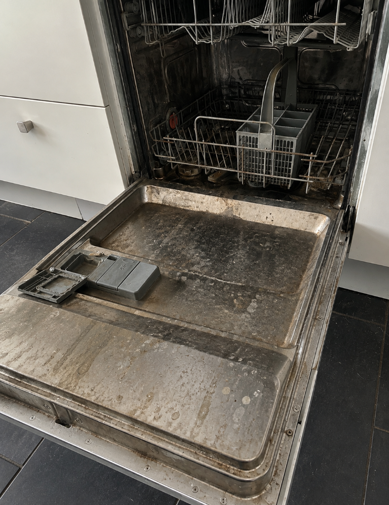 Dishwasher Deep Clean — Before