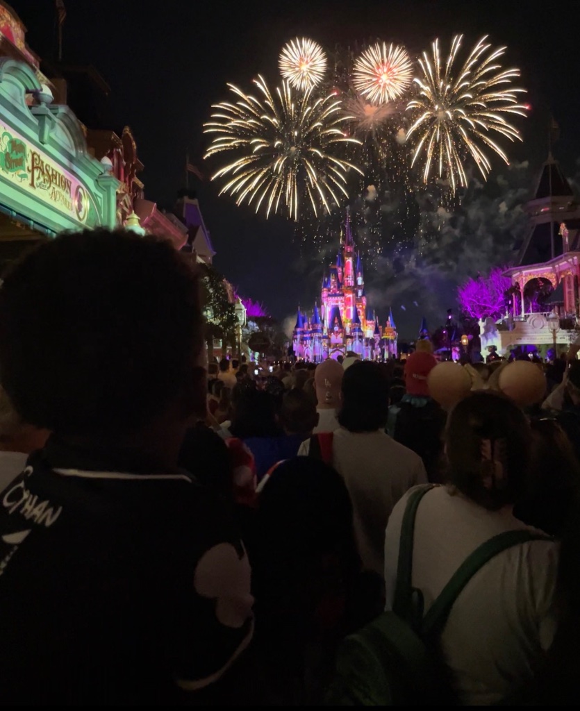 Magic Kingdom Fireworks