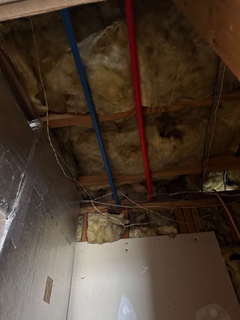 Hot and cold water lines run parallel through the framing