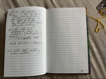 Greystone Diary - Last Entry