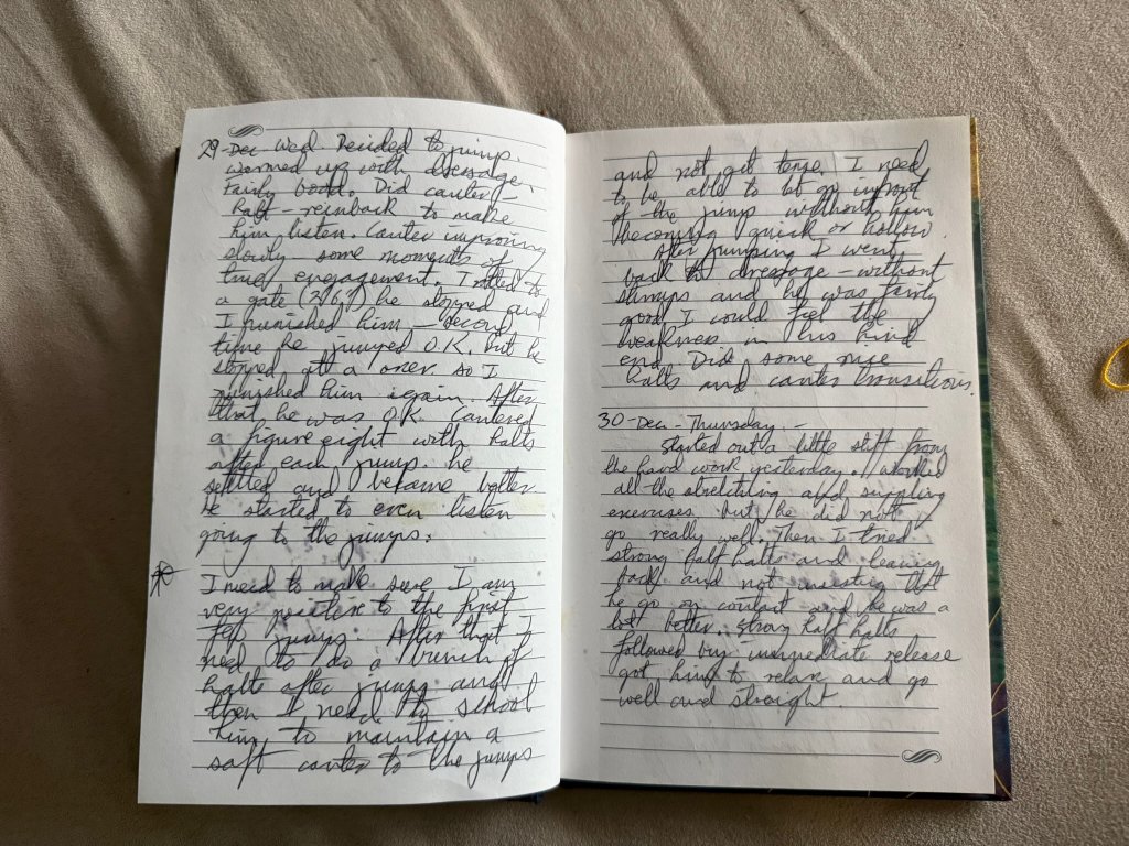 Greystone Diary - February: Vet and Rehab