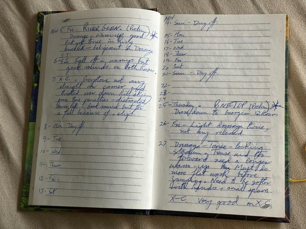 Greystone Diary - November 1999: Observations