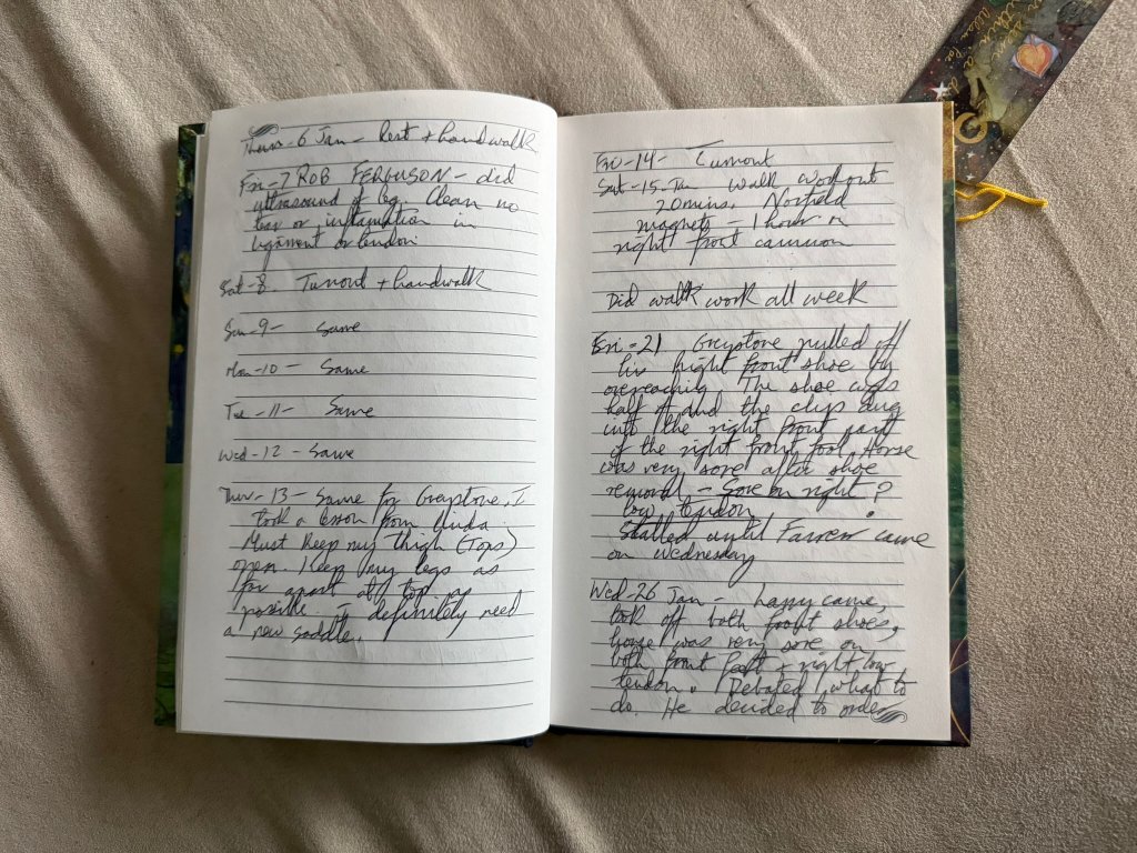 Greystone Diary - Spring Competition Season
