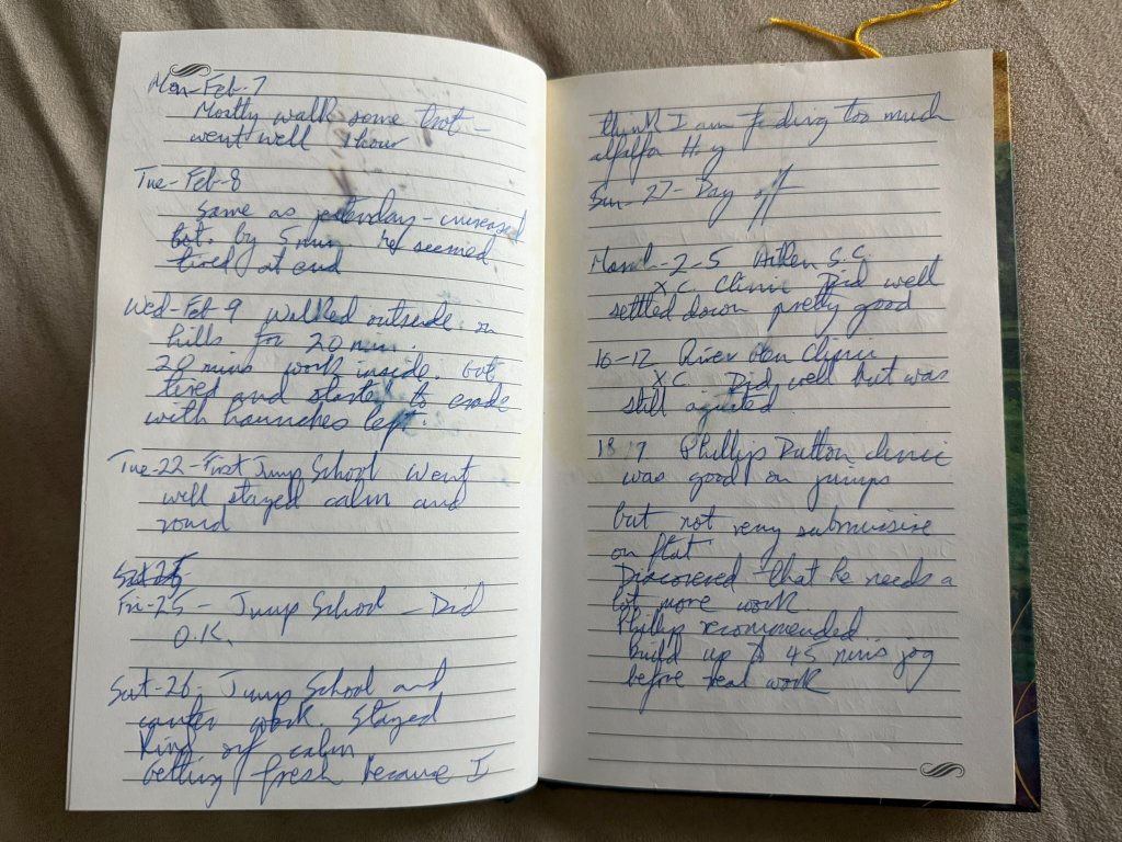 Greystone Diary - Final Training Notes