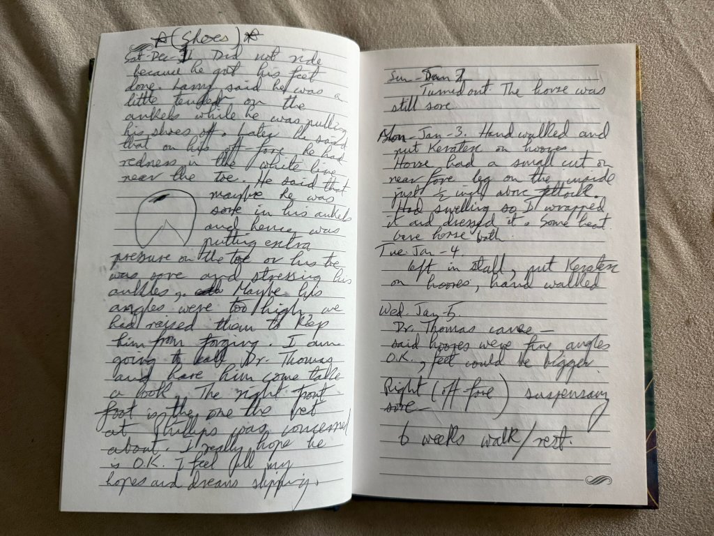 Greystone Diary - Rehabilitation Plan