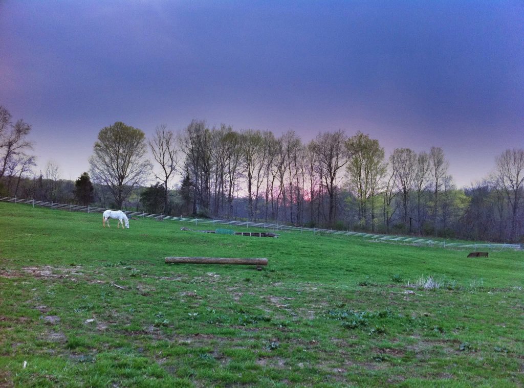 Up-N-Over Stables