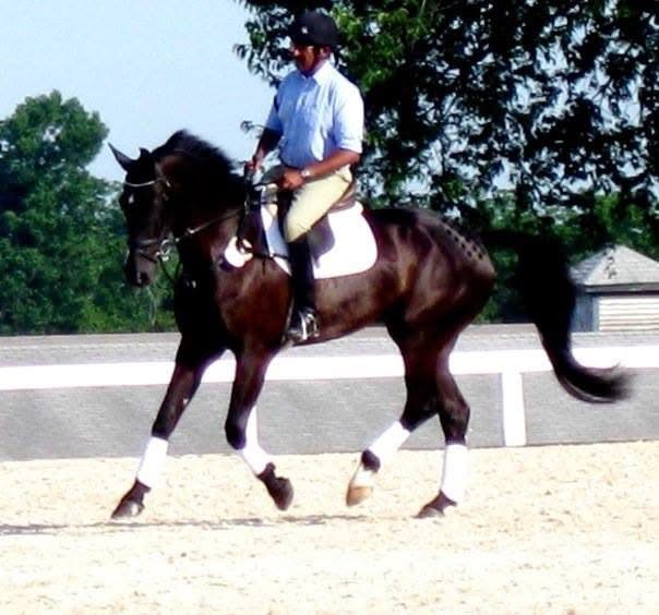 Up-N-Over Stables rider with horse and ribbon