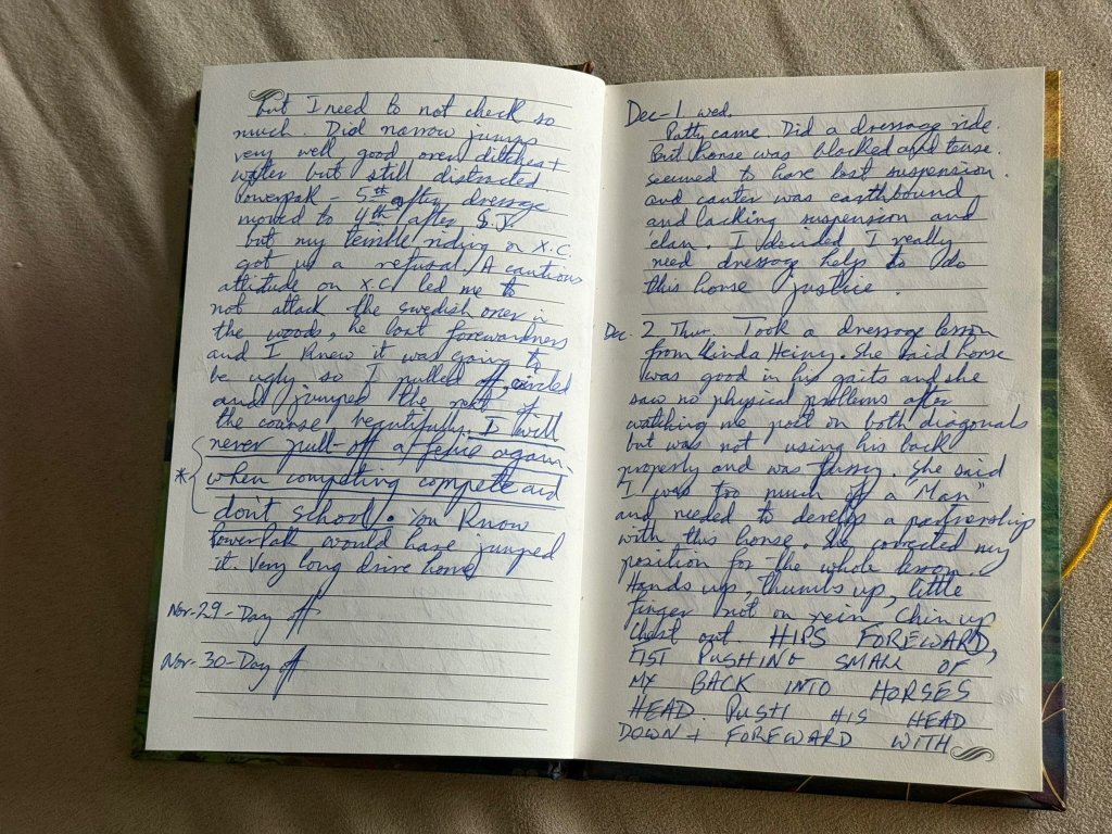 Greystone Diary - November to December: Reflections