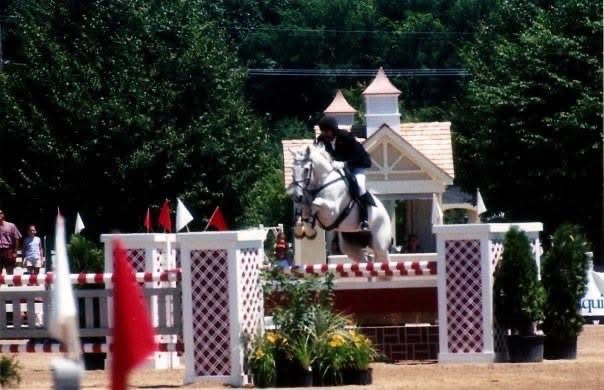 Up-N-Over Stables