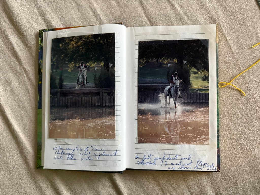 Greystone Diary - January: Rehabilitation