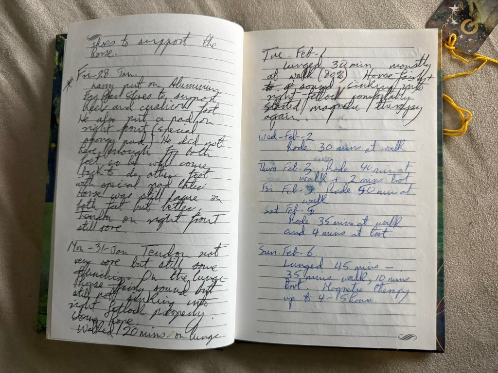 Greystone Diary - Summer 2001
