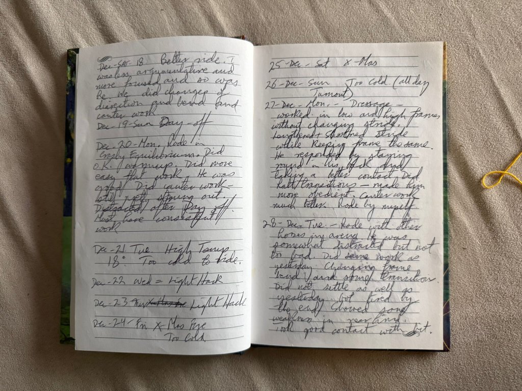 Greystone Diary - January to February: Progress Notes