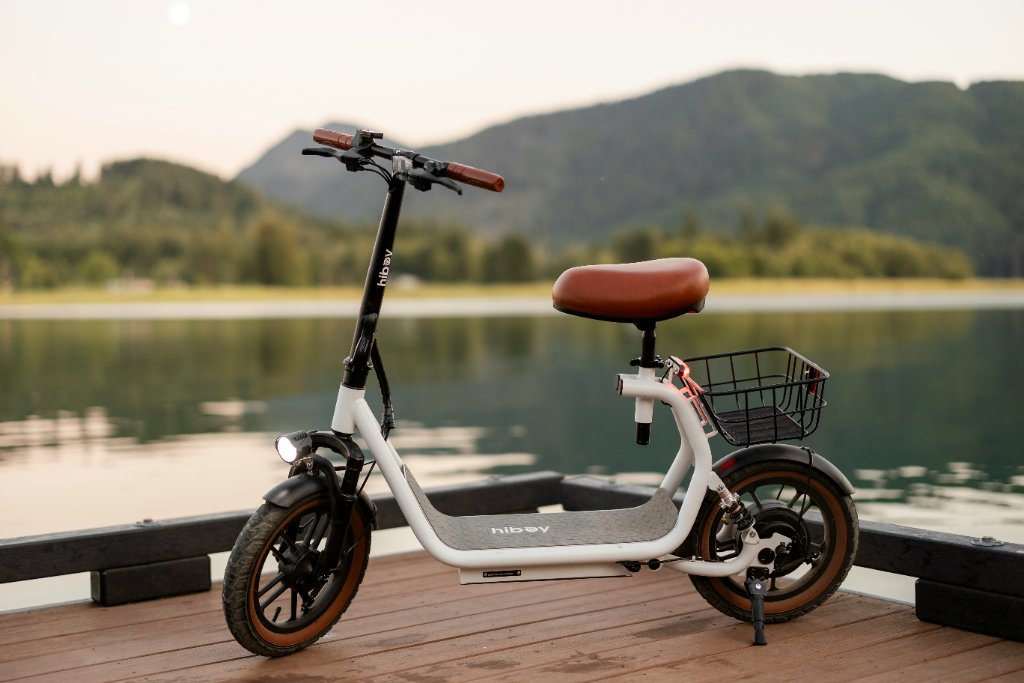 Electric Scooters
