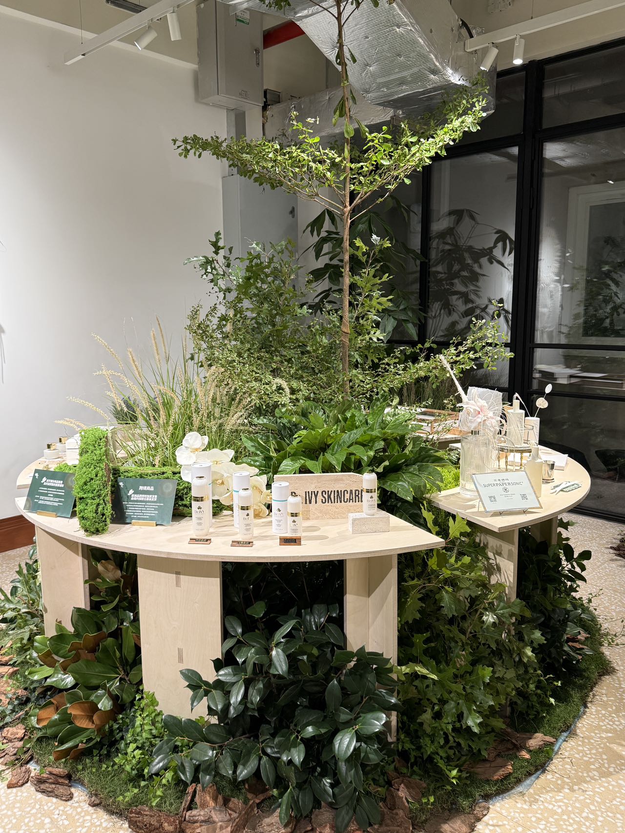 Ivy Skincare shown beneath a slender tree, the plinth banked with living greenery