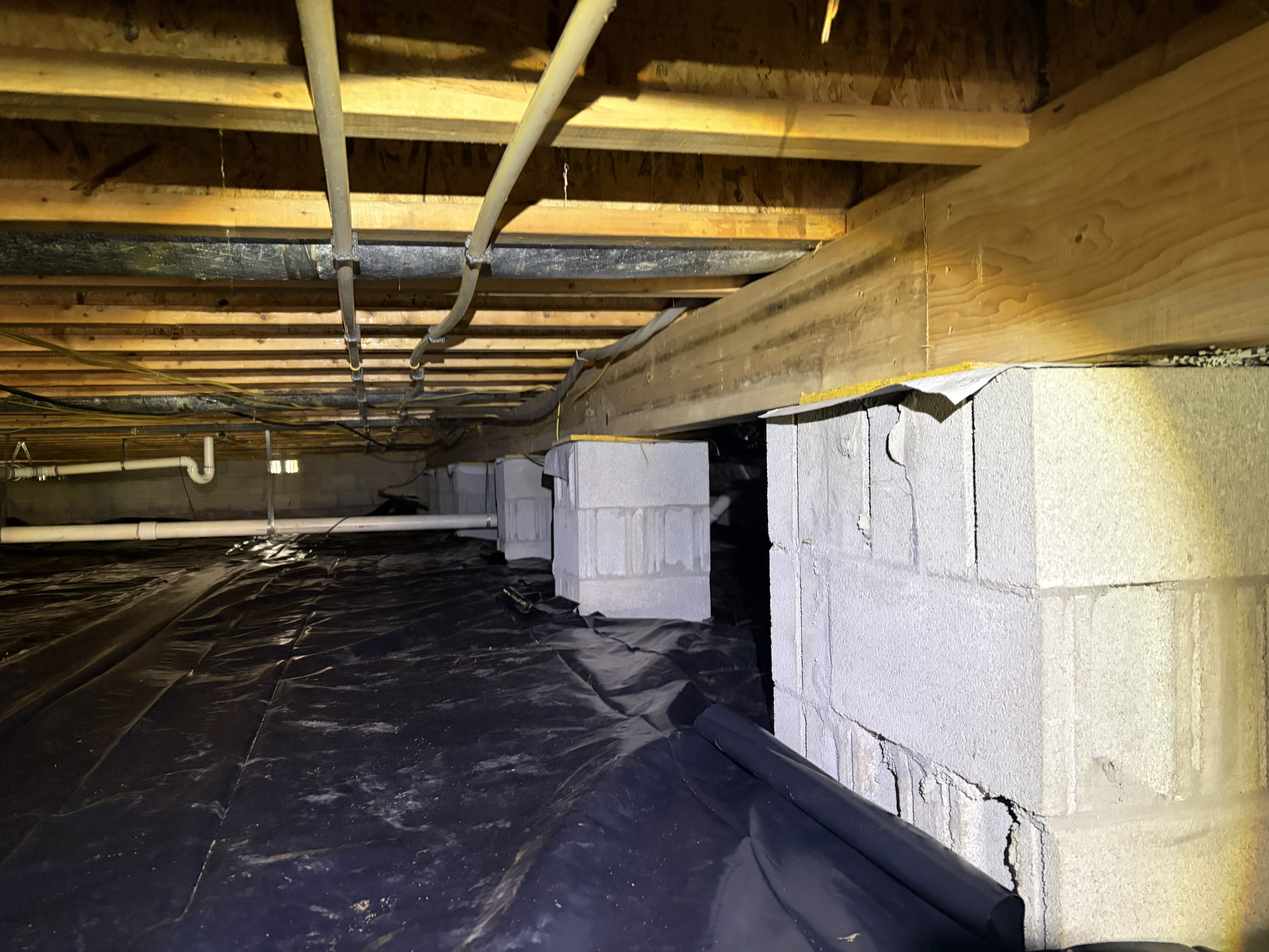 Newly installed black vapor barrier covering the crawl space floor with concrete block piers and wooden floor joists in a Murfreesboro, TN home by The Crawl Shield