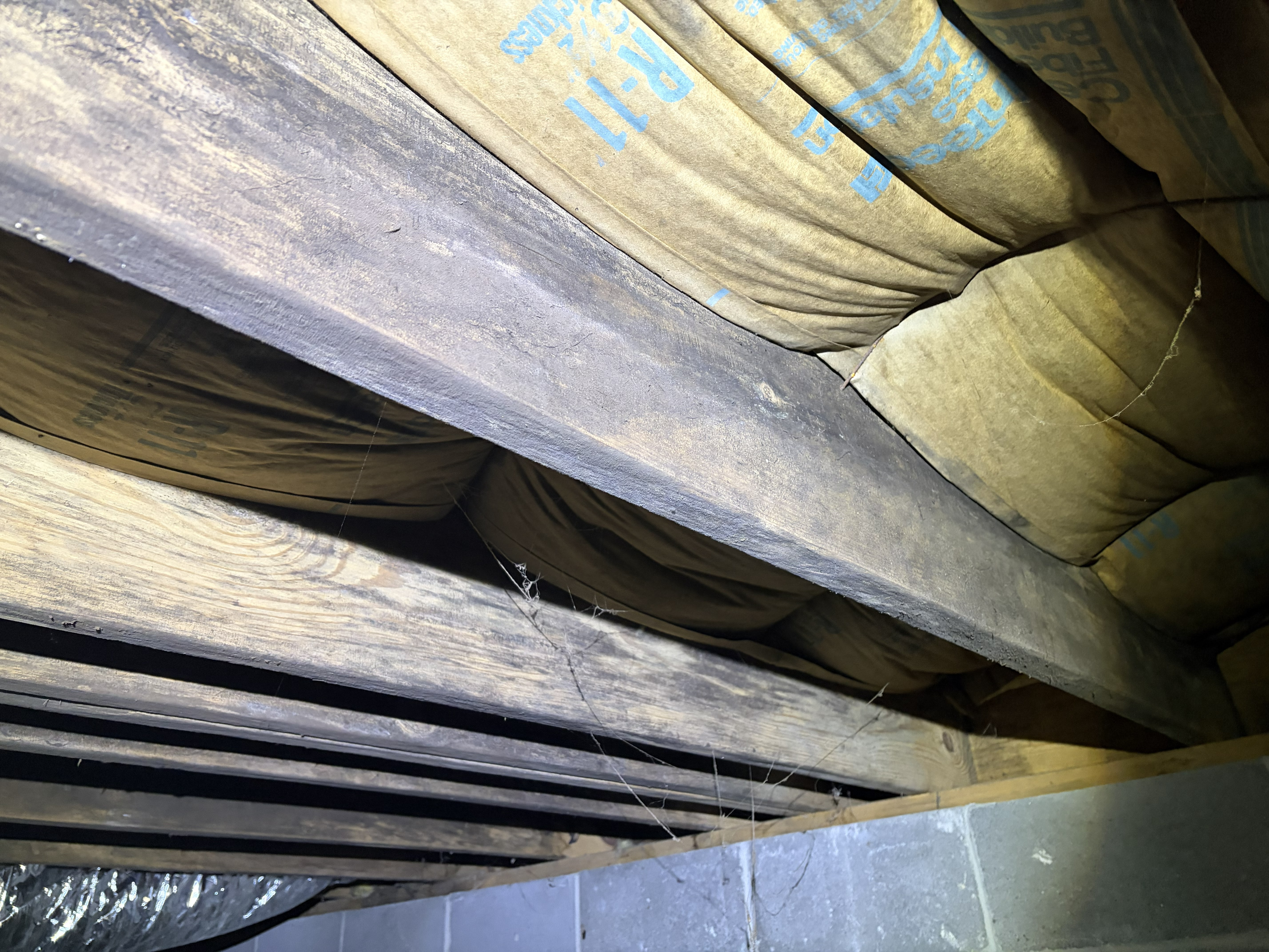 Fungal treatment in Murfreesboro, TN — fungal growth and dark staining on crawlspace floor joists assessed for mold remediation by The Crawl Shield
