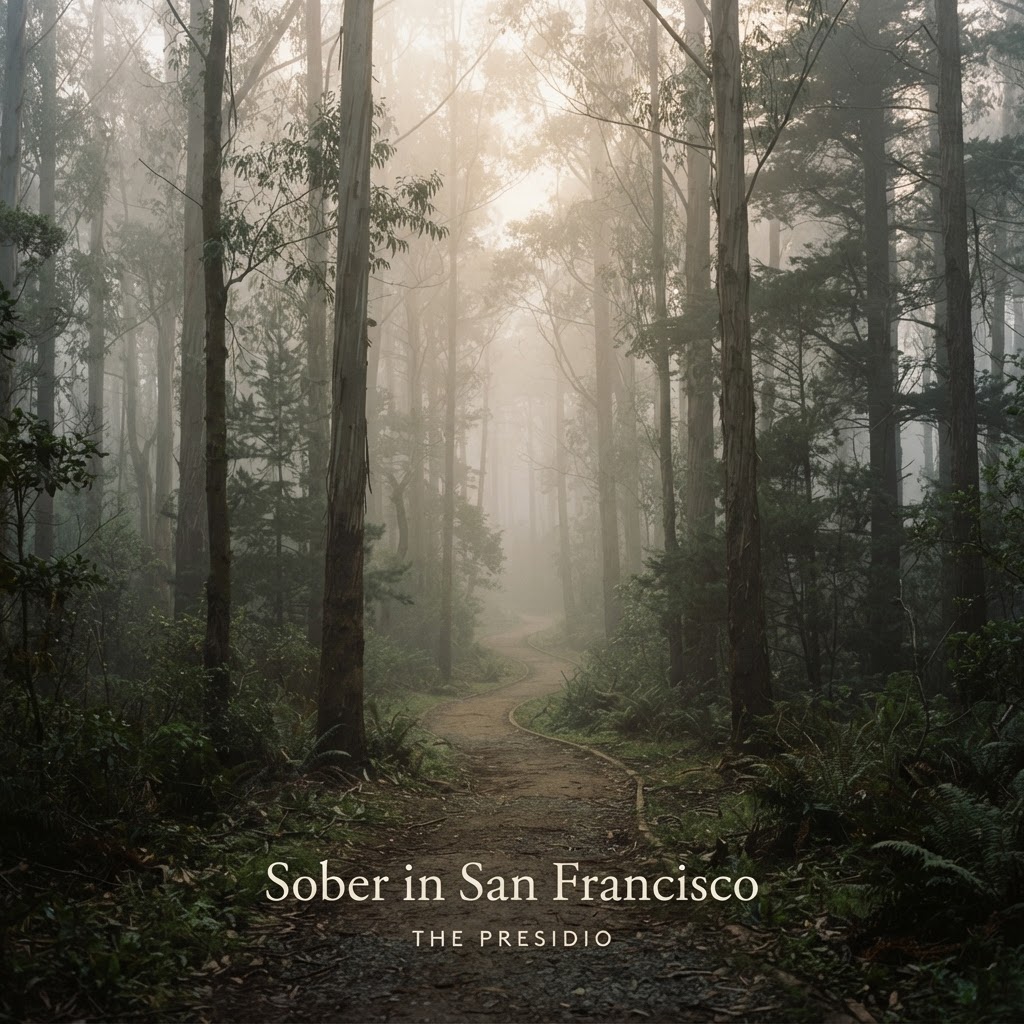 The Presidio — Morning Fog