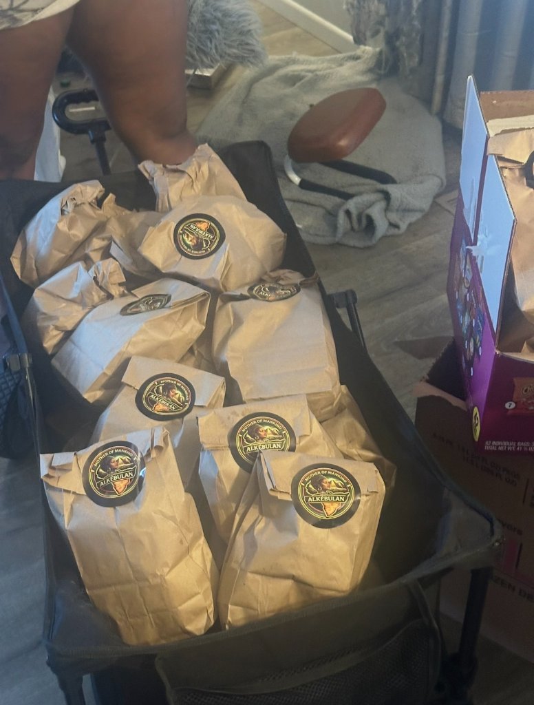 Brown bag lunches with Alkebulan branding ready for distribution