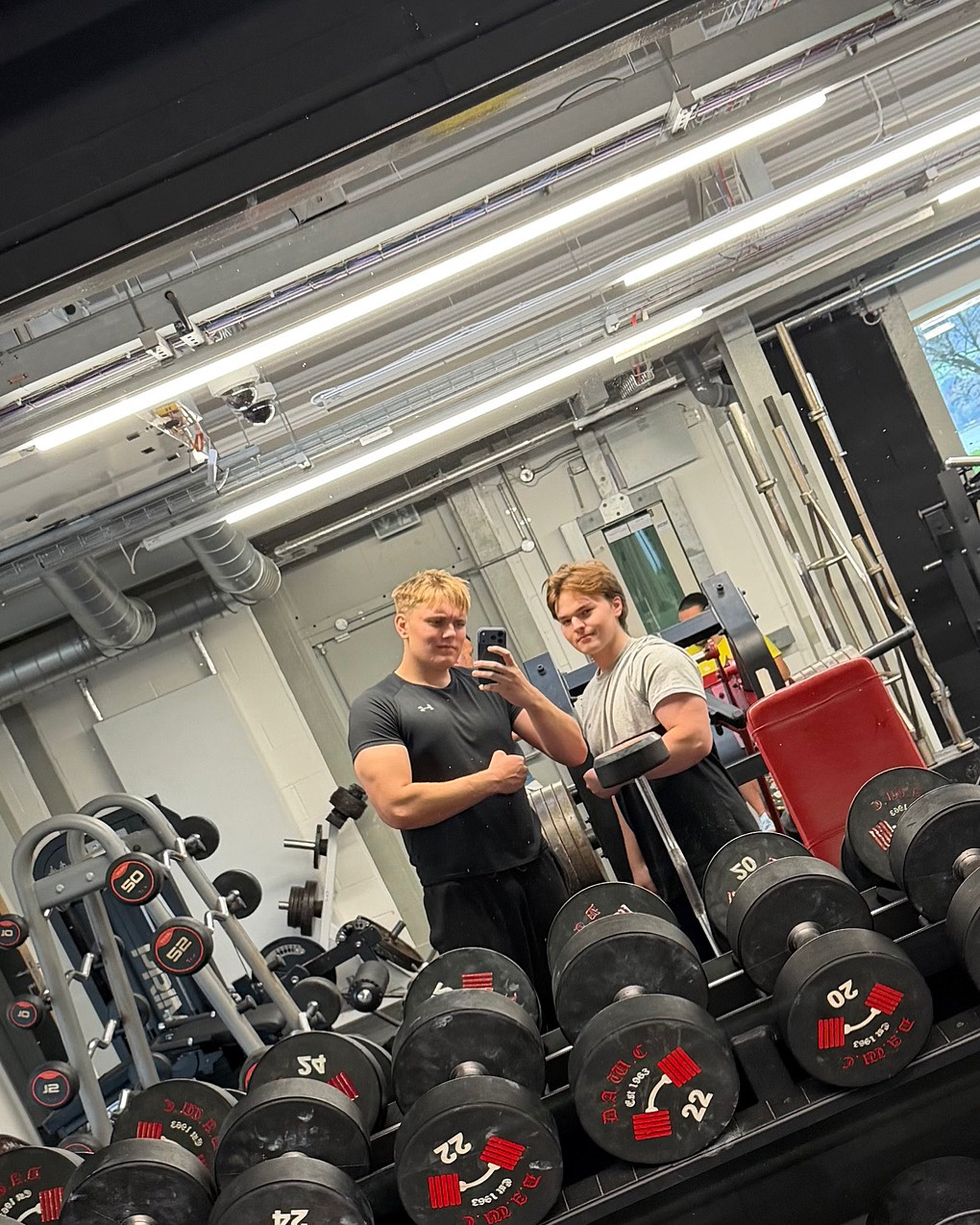 Mace training a client in the gym