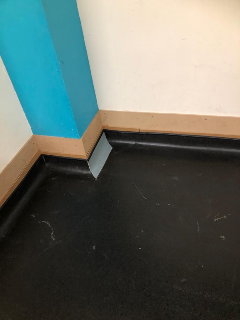 Hygienic Wall & Floor Finish