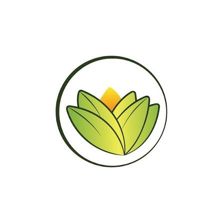 The Ayurveda Experience