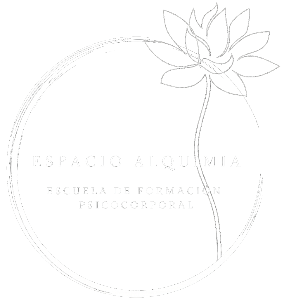 Espacio Alquimia