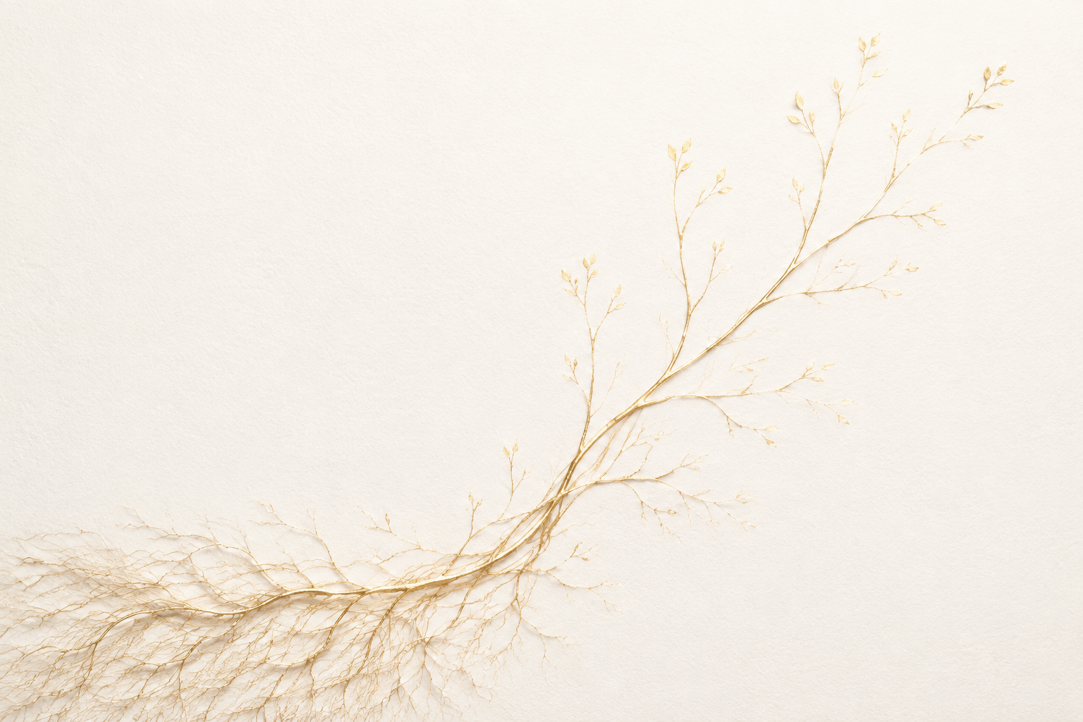 Fine golden roots gathering into a stem and opening into branches on cream paper.