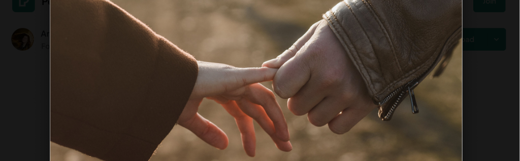 Our Services — serene nature imagery representing healing and restoration