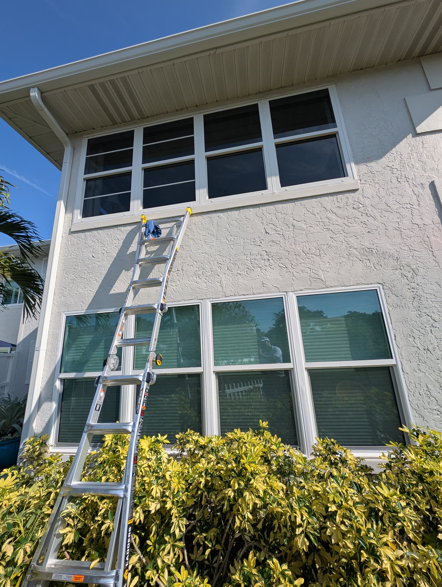 Two-Story Clarity
