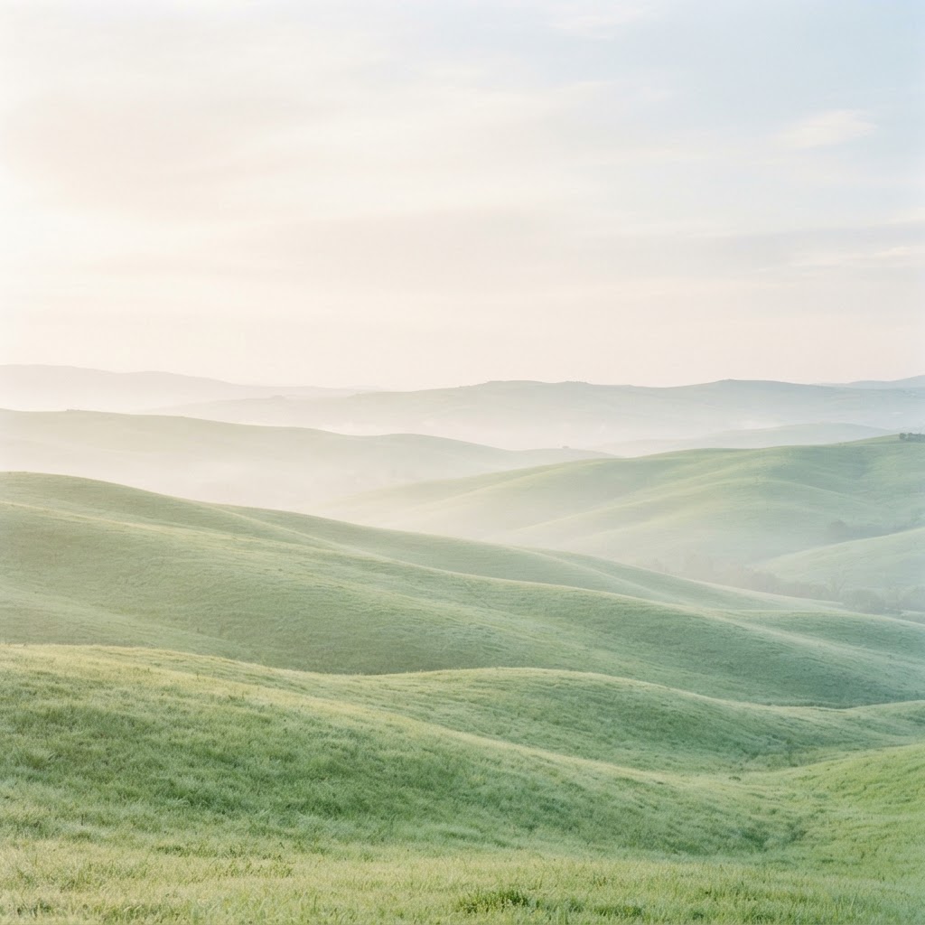 Natur & Webdesign