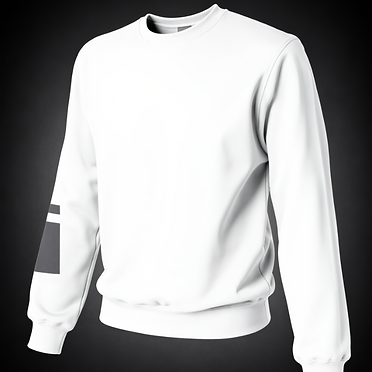 ProfiWear — Lot 166 — 248 white round-neck sweatshirts without pockets