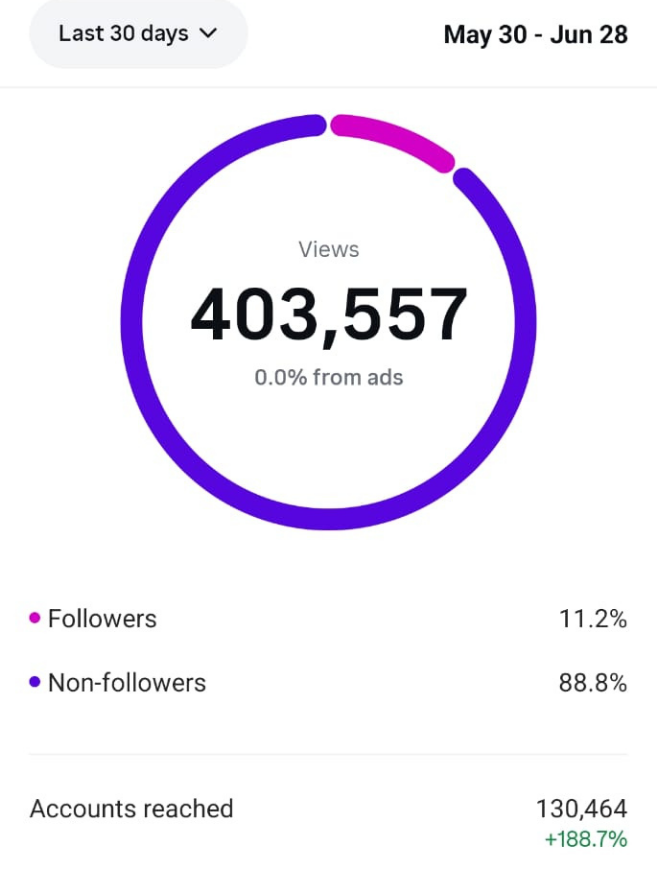 Instagram Professional Dashboard — 30 May–28 Jun