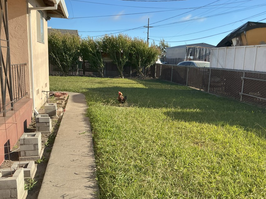 Front Yard