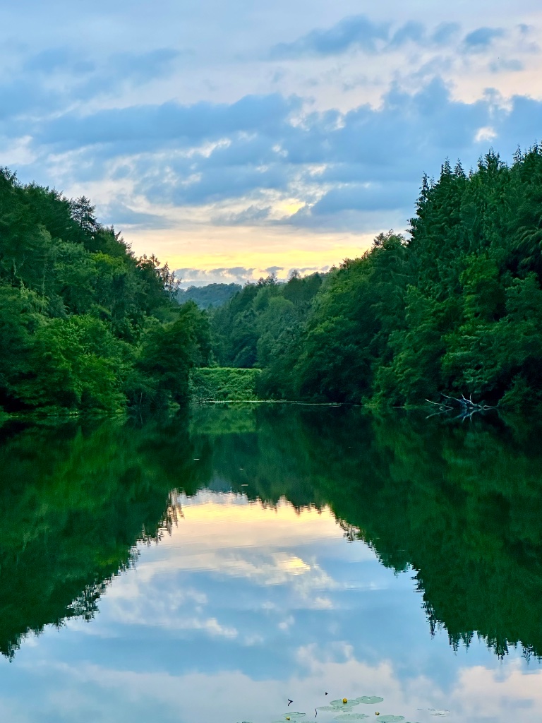 Expansive luminous wild landscape