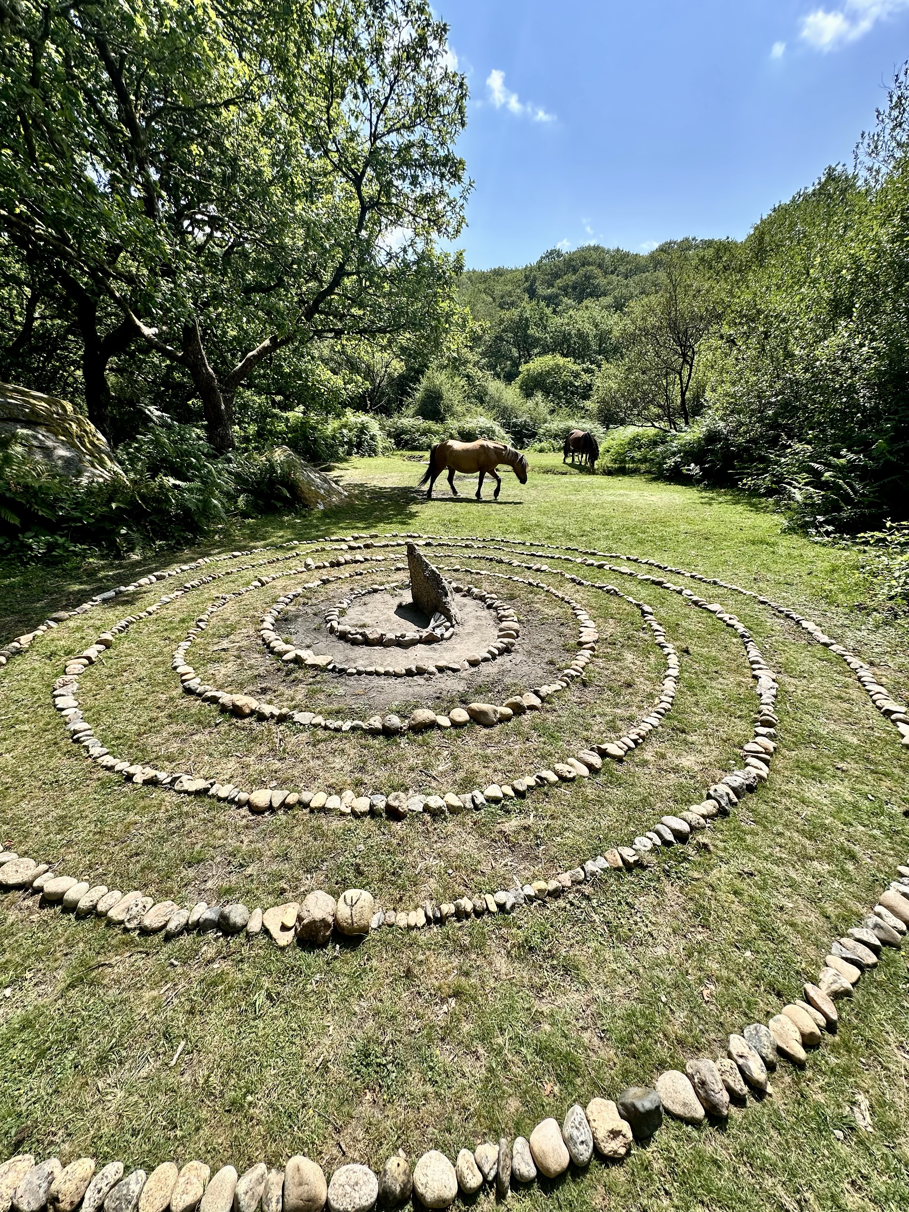 A stone spiral around a standing stone in a clearing